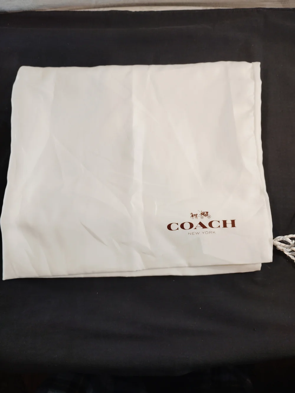 Coach Large White Drawstring Dust Bag
